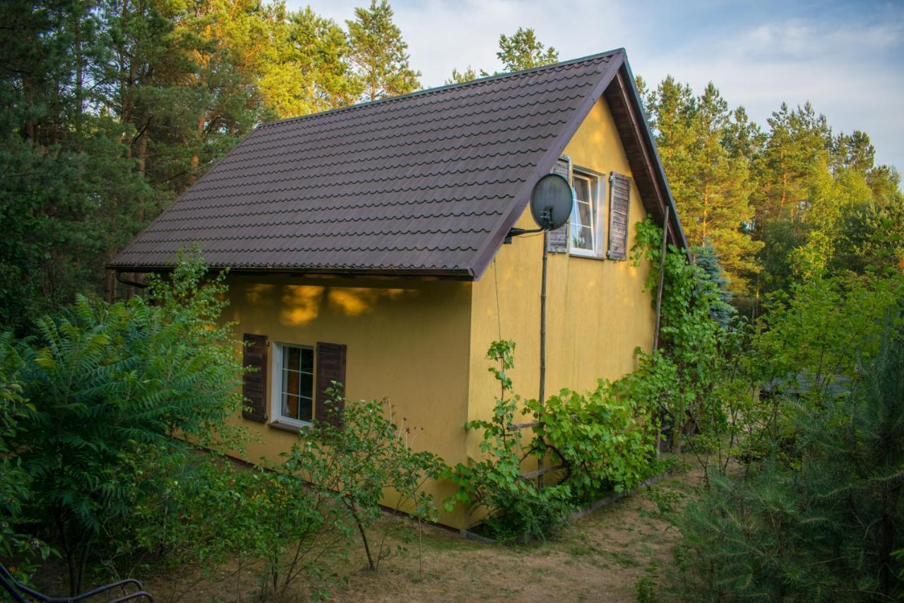 Gospodarstwo agroturystyczne nad jeziorem wśród lasów Lipnica  Exterior foto