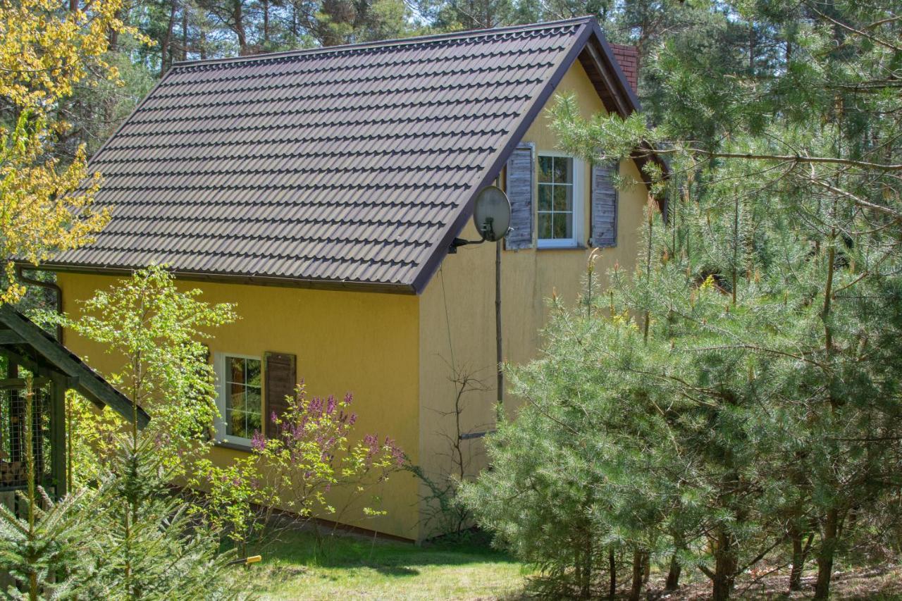 Gospodarstwo agroturystyczne nad jeziorem wśród lasów Lipnica  Exterior foto