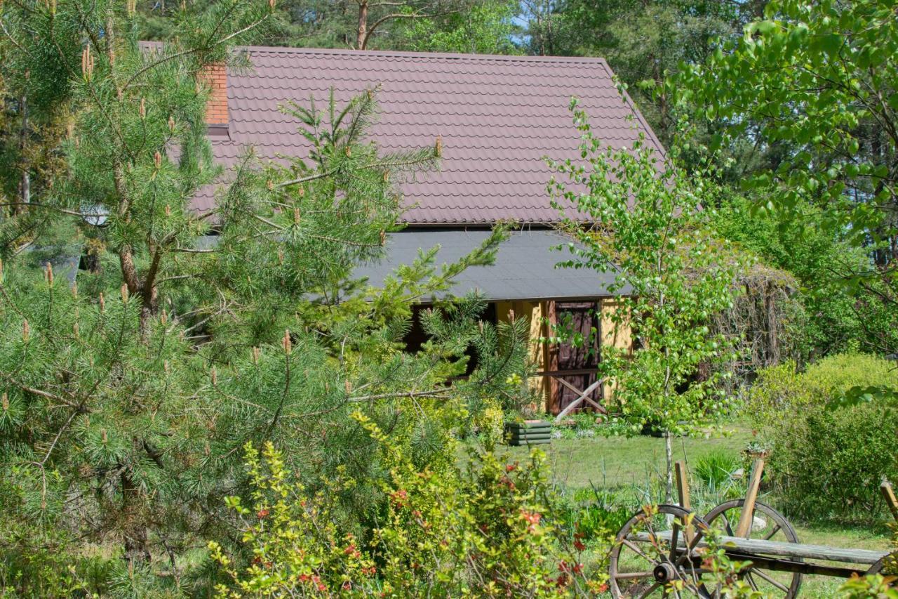 Gospodarstwo agroturystyczne nad jeziorem wśród lasów Lipnica  Exterior foto