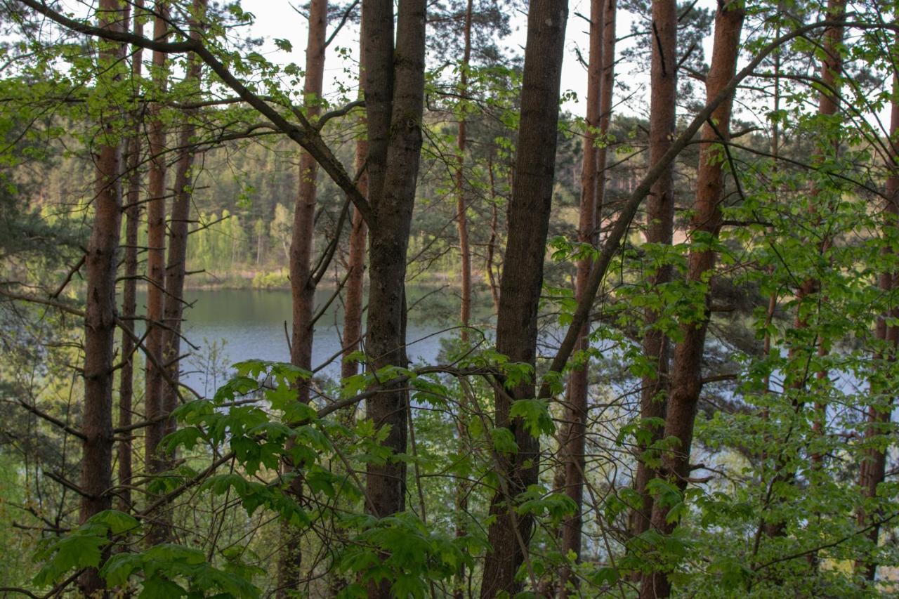 Gospodarstwo agroturystyczne nad jeziorem wśród lasów Lipnica  Exterior foto