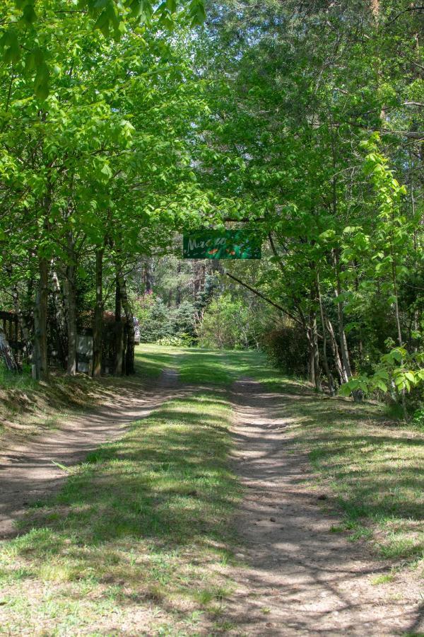 Gospodarstwo agroturystyczne nad jeziorem wśród lasów Lipnica  Exterior foto
